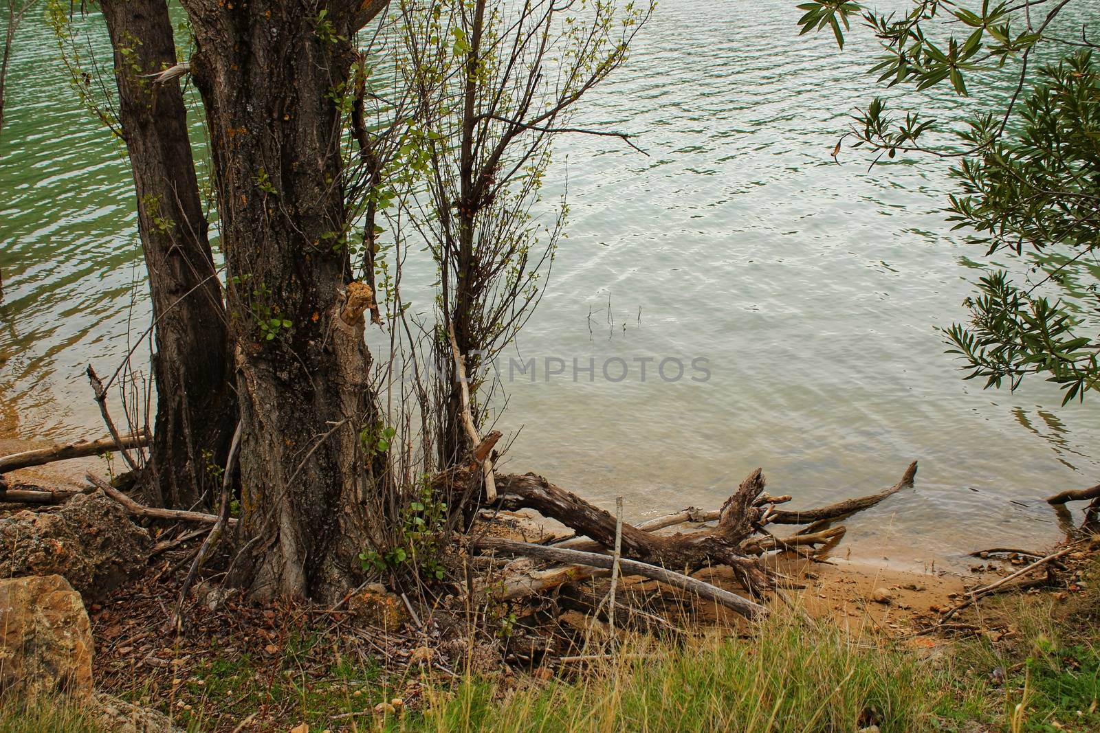 Swamp surrounded by mountains in El Molinar, Casas de Ves, Spain by soniabonet