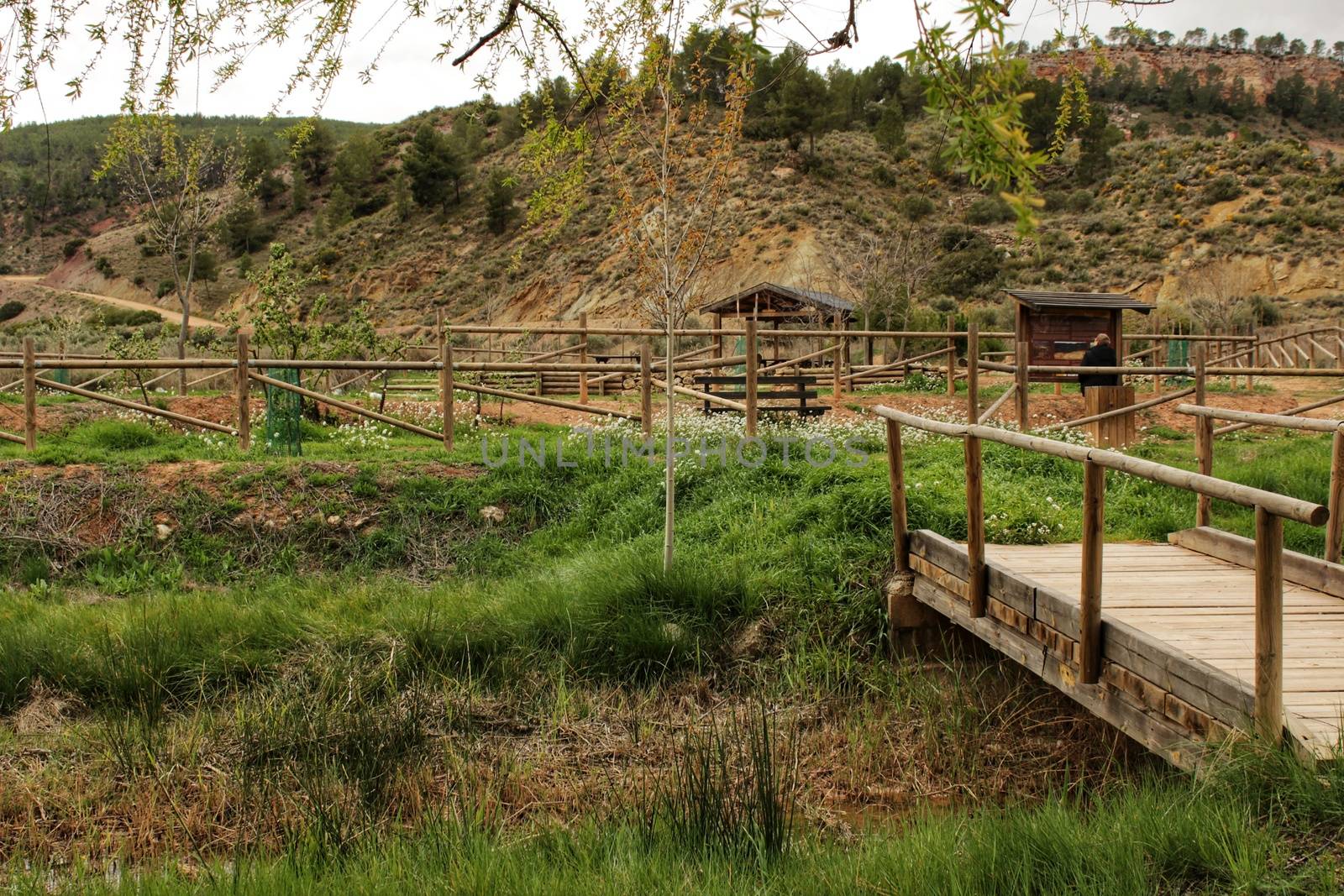 Wooden bridge in the garden in Lisbon