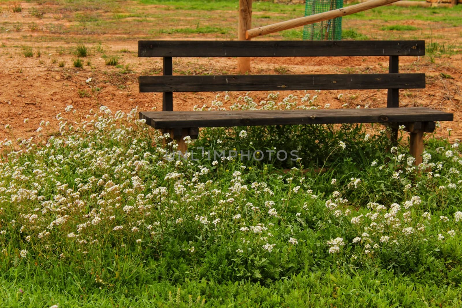 Wooden bench surrounded by vegetation and flowers in a park in a village of Spain