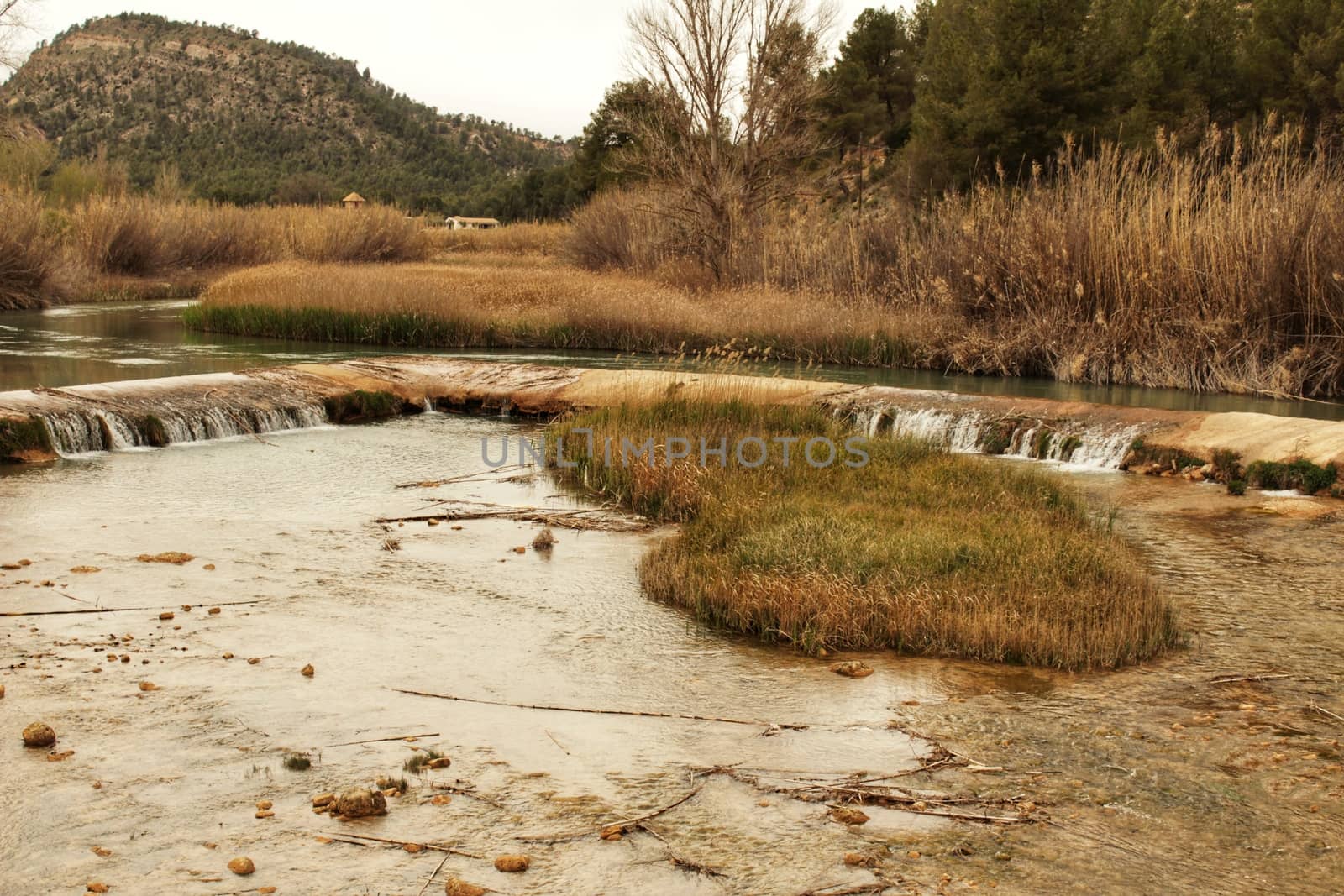 Cabriel River on its way through Casas del Rio village, Albacete, Spain. Landscape between cane field and mountains.