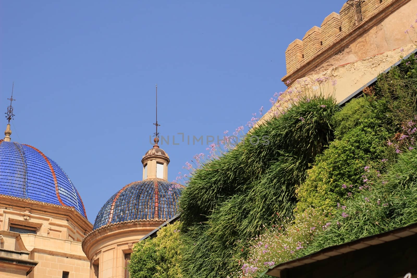 Vertical garden in wall of the Calahorra tower in Elche, Spain. by soniabonet