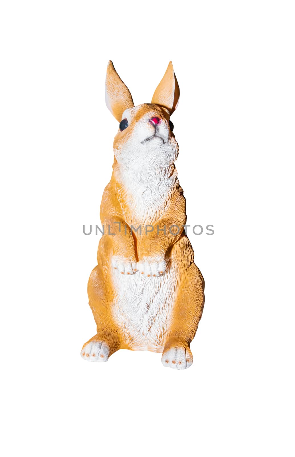 rabbits stucco isolated on a white background by pramot