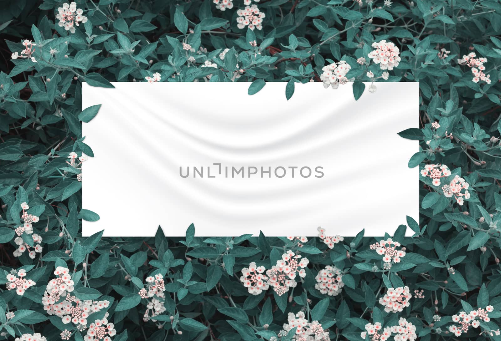 green leaves and flowers above crumpled fabric background  by pramot