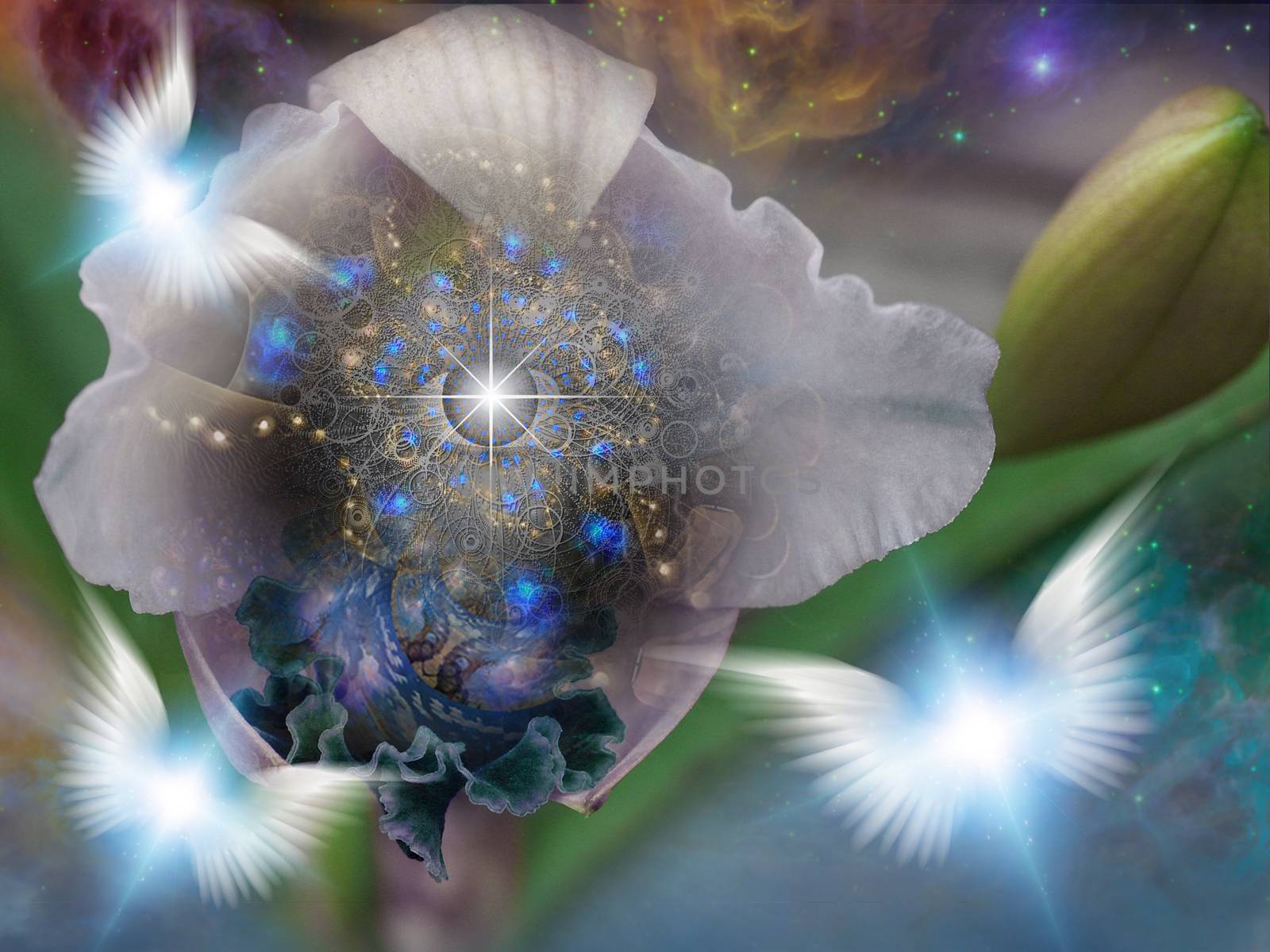 The flower of God. Spiritual art. 3D rendering