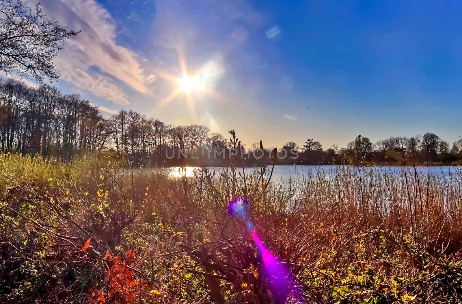 Beautiful sunset landscape at a lake with a reflective water surface.