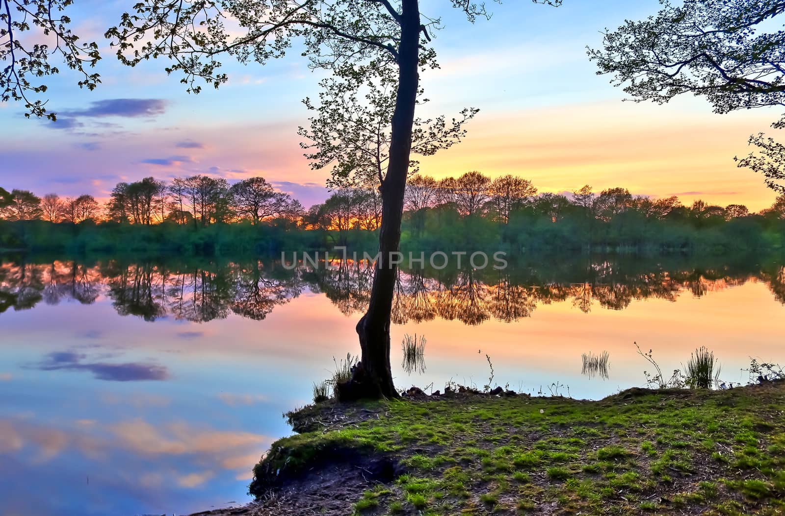 Beautiful sunset landscape at a lake with a reflective water sur by MP_foto71