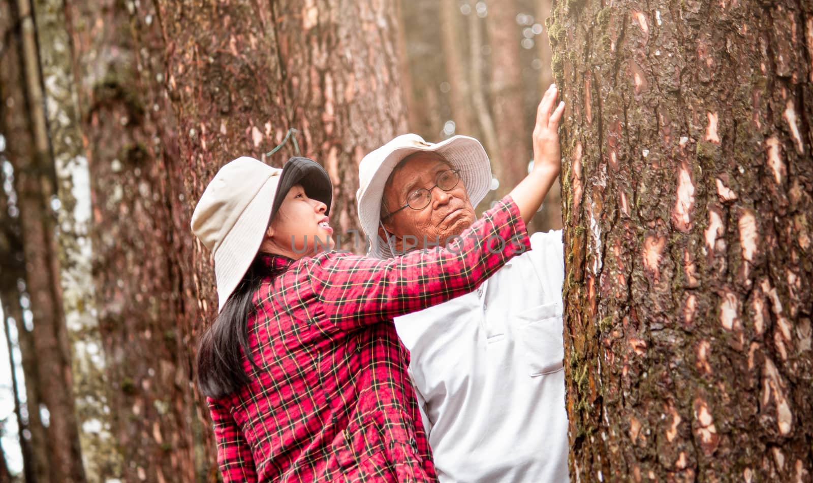 An adult daughter with senior father touching a tree in the wood by TEERASAK