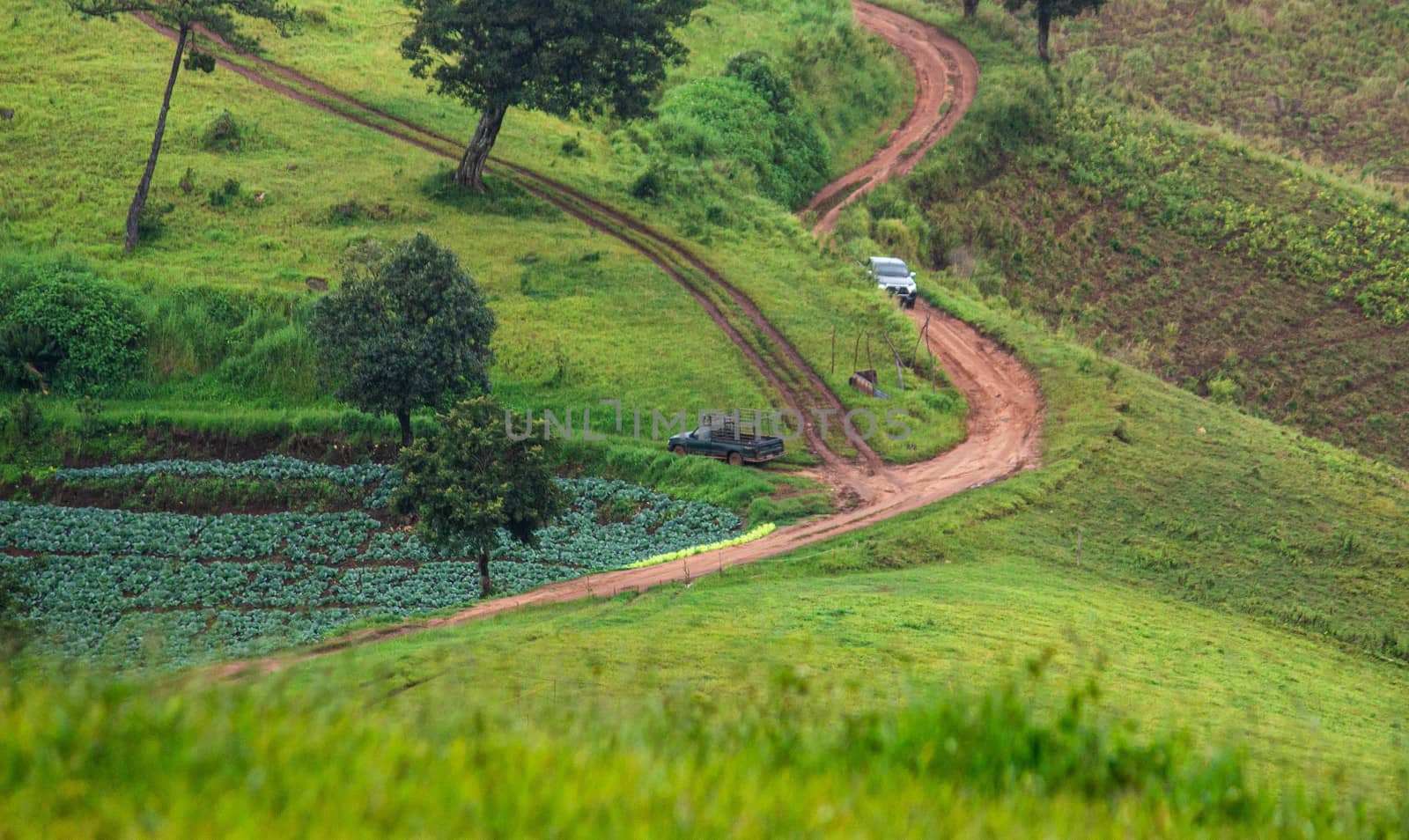 Dirt road for cars up the Doi Mae Tho with beautiful trees and green meadows, Hot District, Chiang Mai, Thailand.
