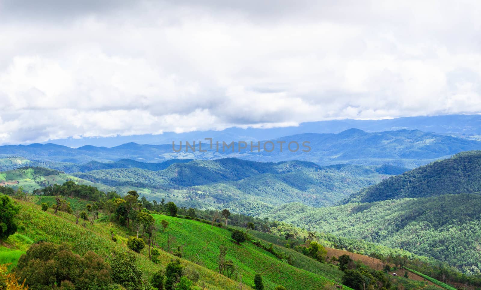 Landscape of beautiful mountains with green meadows and blue sky in the morning.