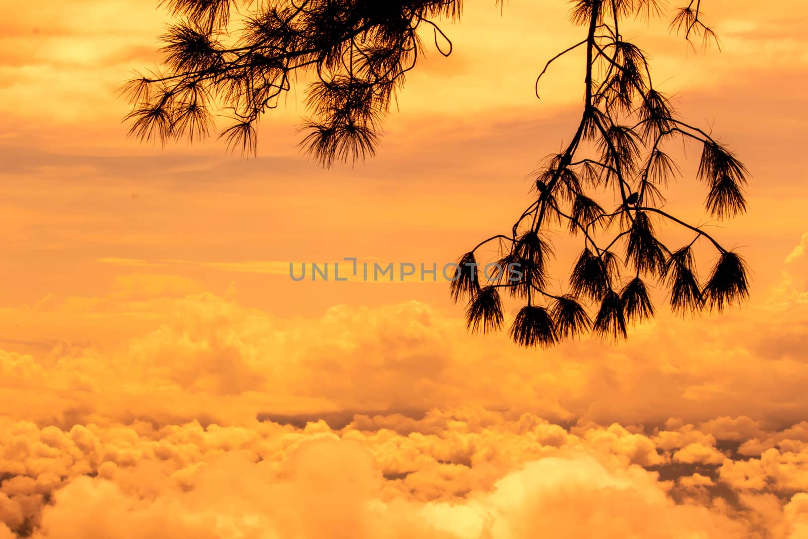 Beautiful landscape at sunset sky with clouds on peak of mountains.