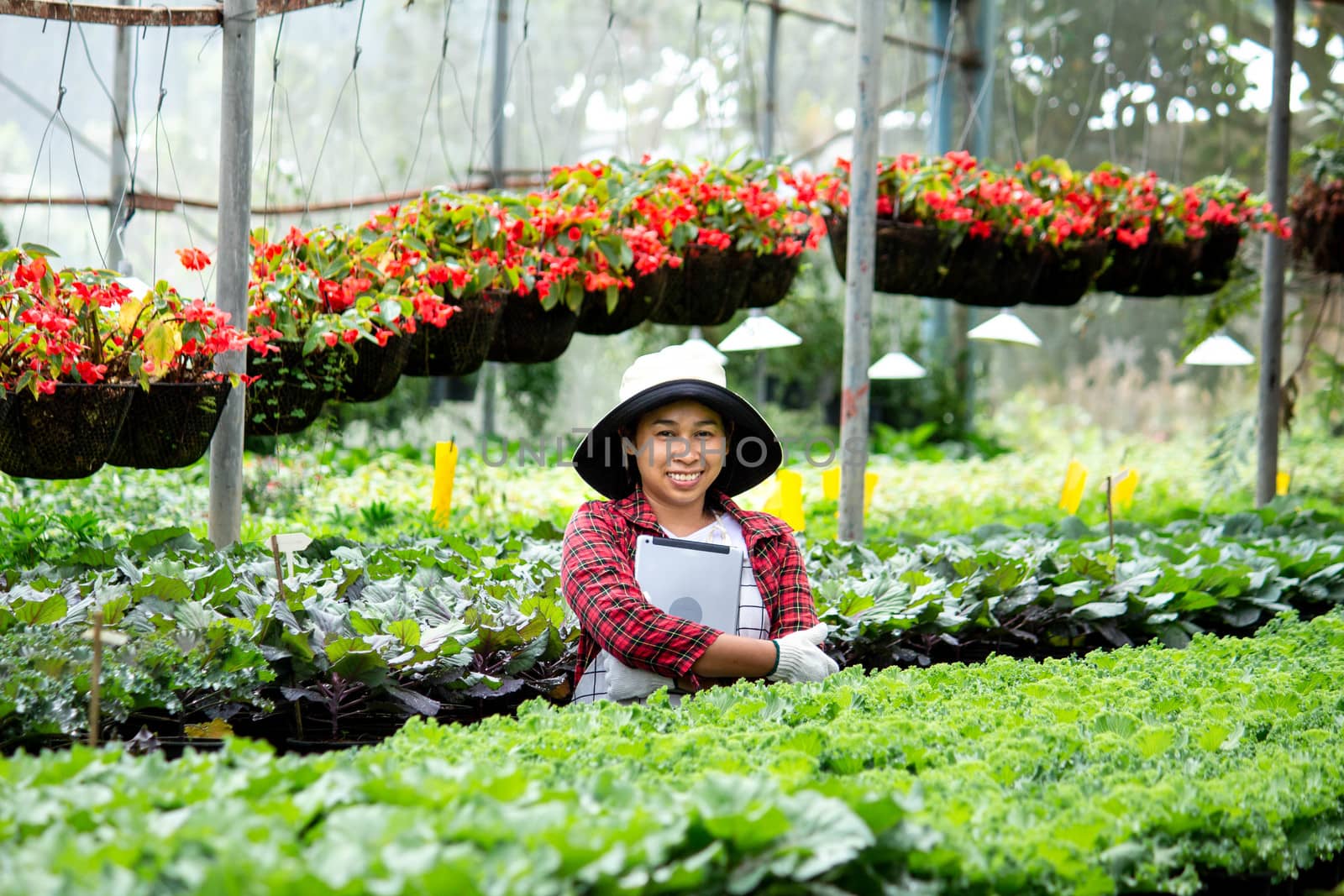 A happy female farmers with a tablet in her hand stands near a flowers in the greenhouse. Modern technology for farmers and floriculture.