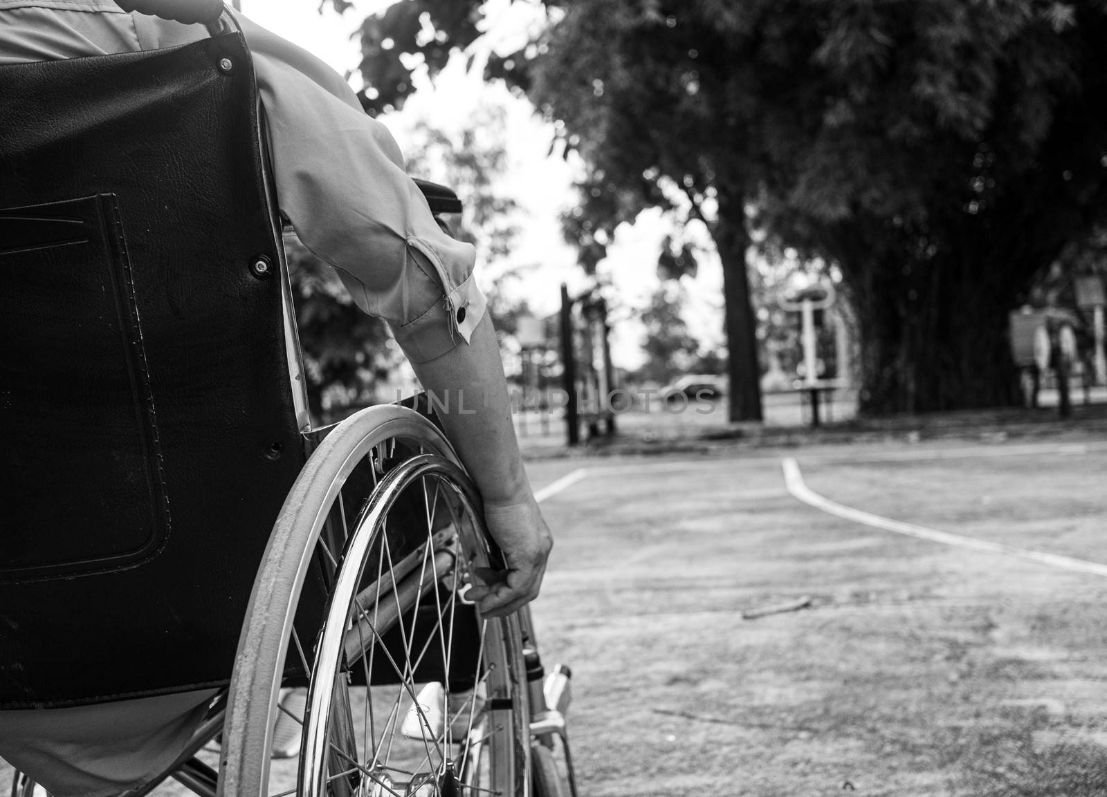 Rear of disabled woman sitting in wheelchair relax in the outdoor public park. Black and white style tone.