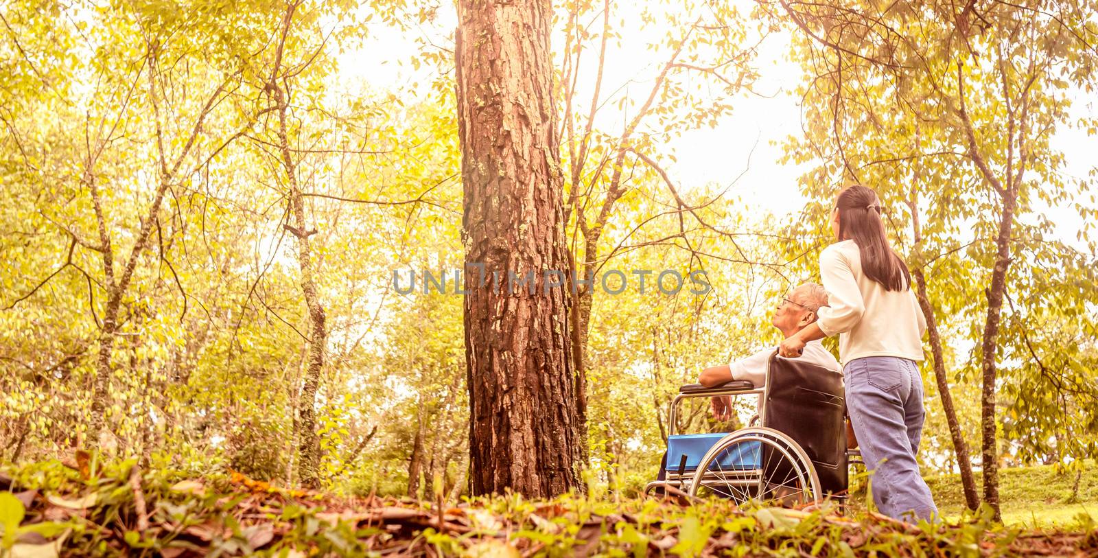 Rear of happy grandfather in wheelchair relaxing and walking wit by TEERASAK