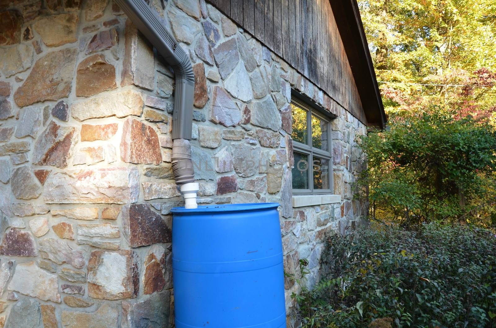 blue rain barrel with gutter downspout and stone building or house