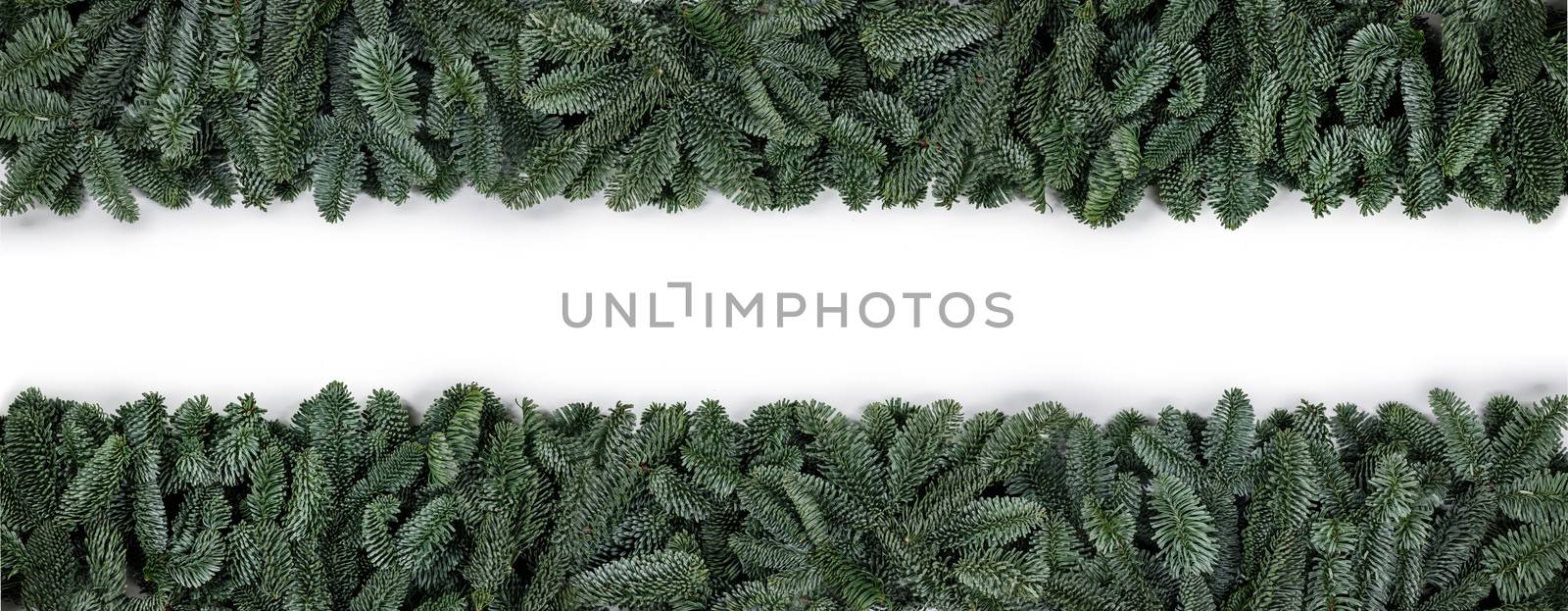 Natural noble fir Christmas tree border frame isolated on white , copy space for text