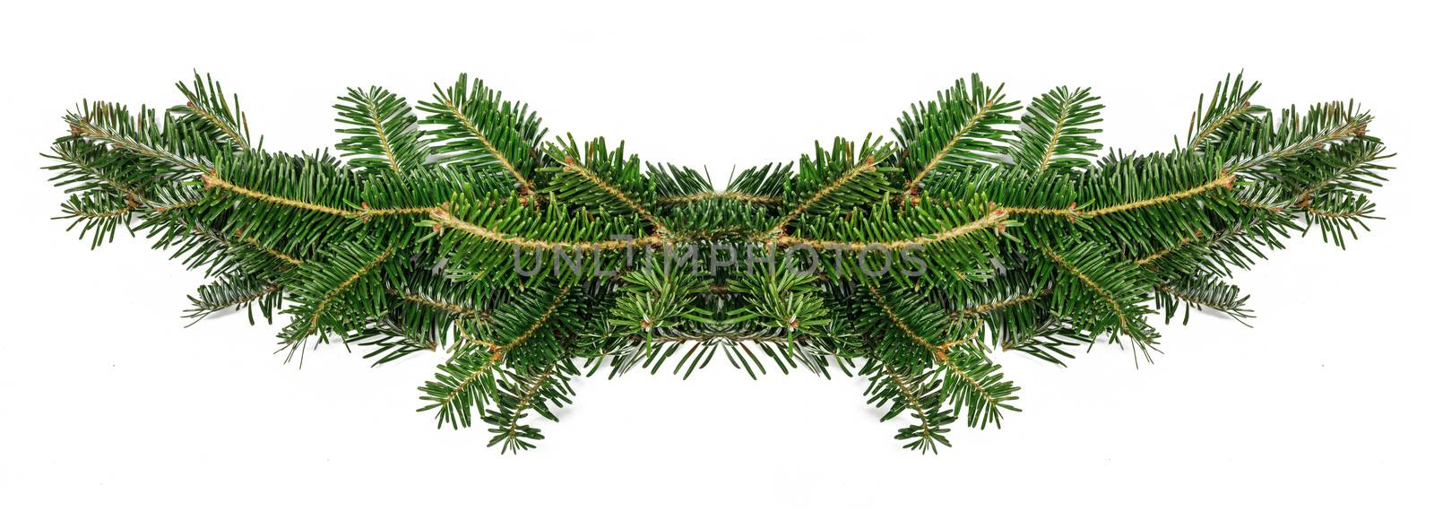 Fir tree branch frame on white by Yellowj