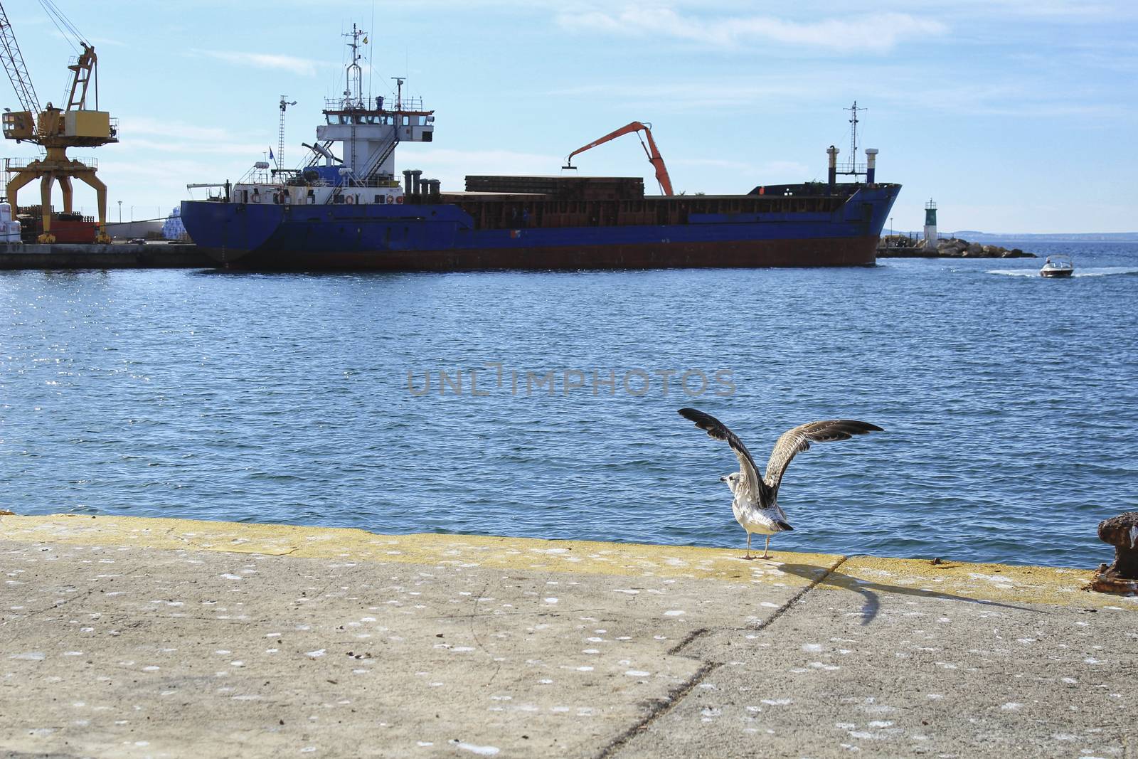 Merchant ship unloading at the dock  by soniabonet