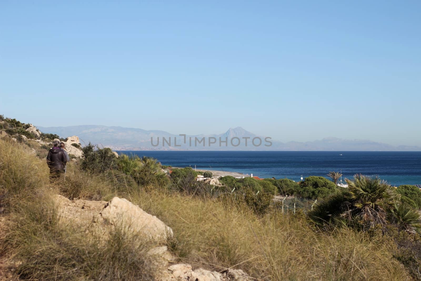 Vegetation in cliffs of the Alicante coast