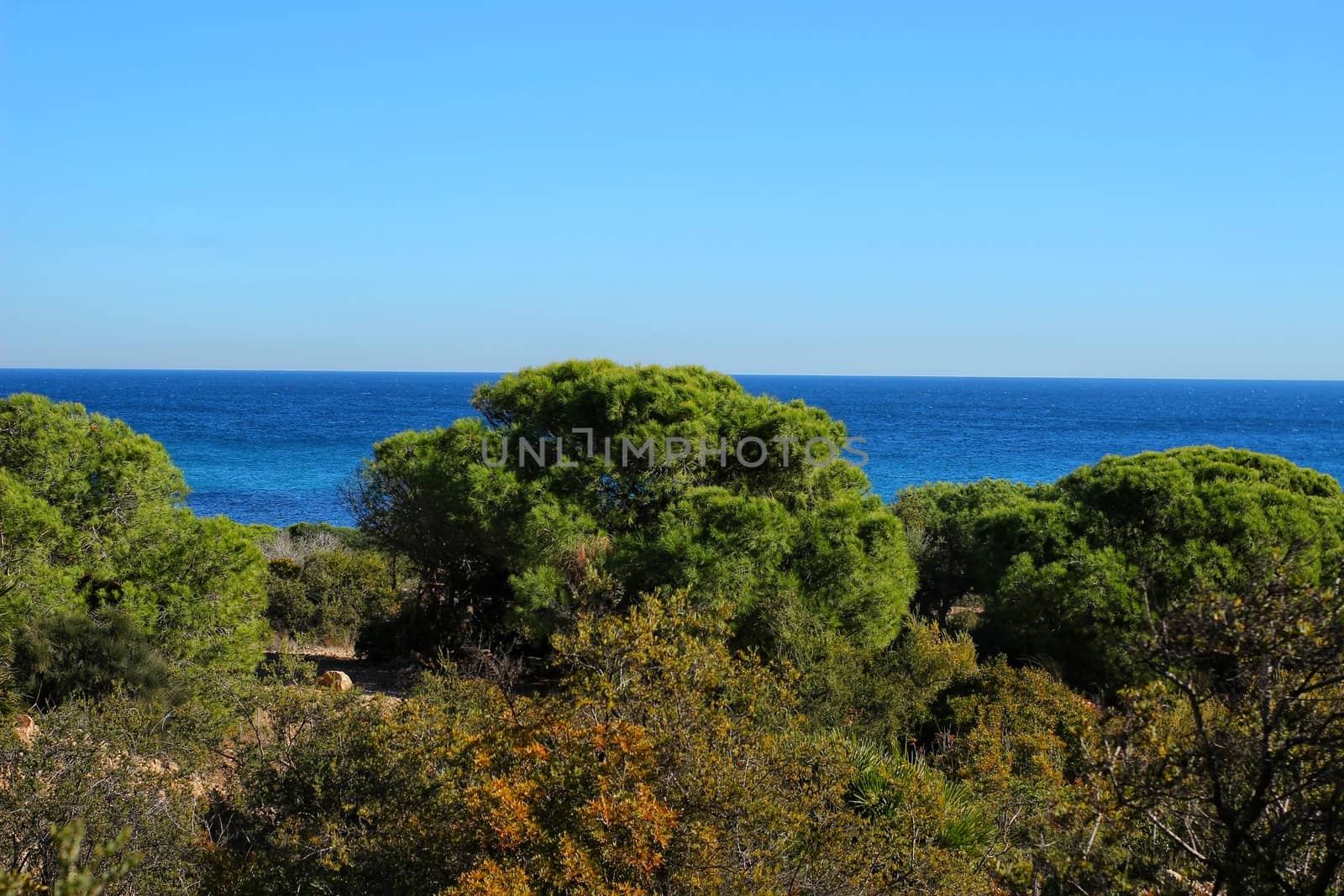 Green Landscape in southern Spain on the beach