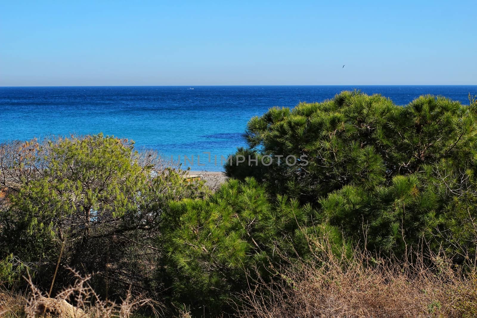 Green Landscape in southern Spain on the beach
