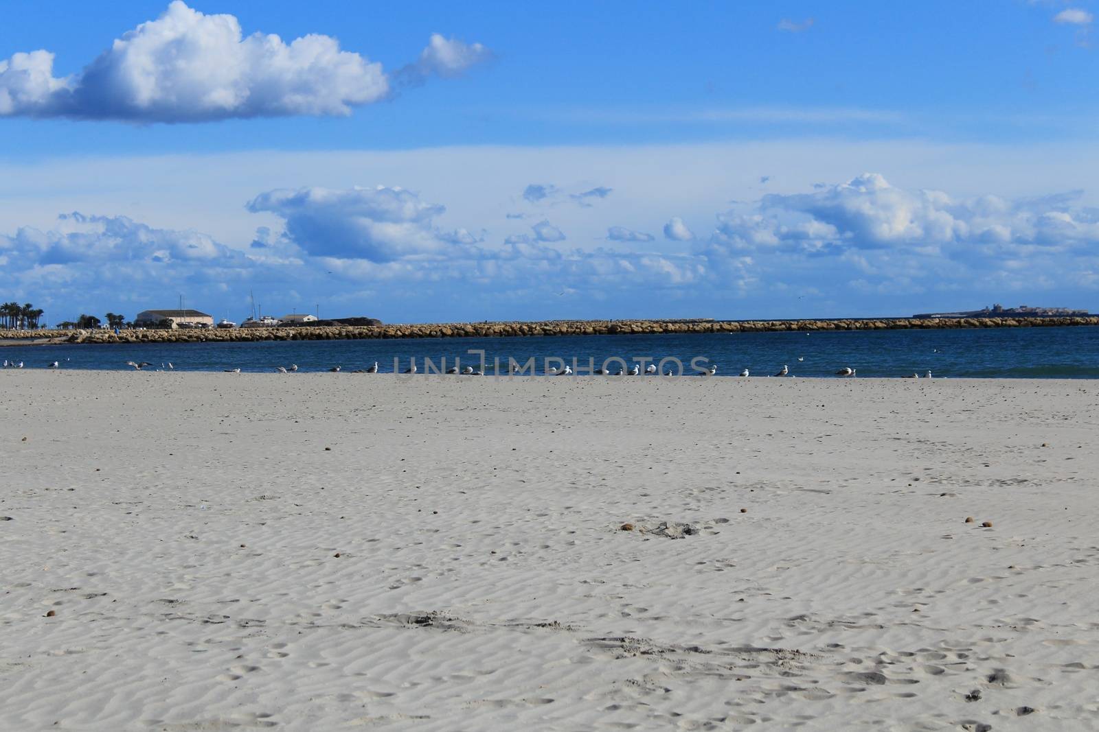 Beach in the morning in Santa Pola in southern Spain by soniabonet