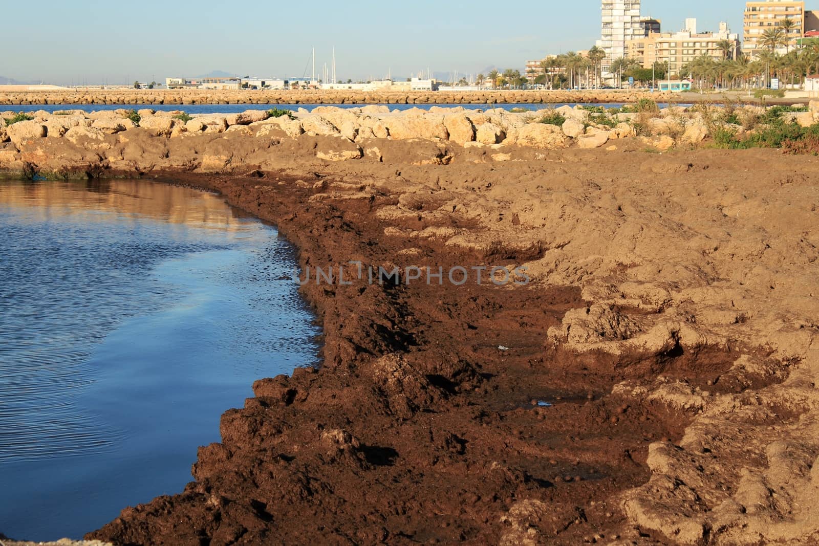 Oceanic Posidonia remains on the shore after the storm in Santa Pola, Spain
