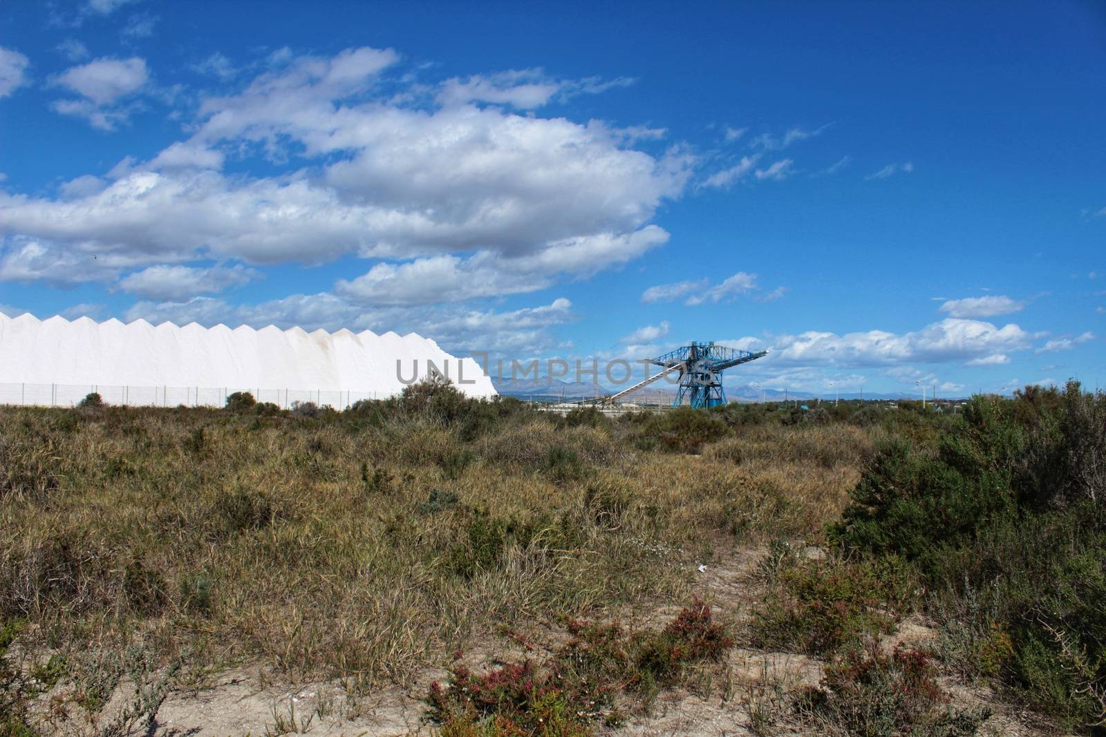 Salinas and vegetation under blue sky in Santa Pola, Alicante, Spain