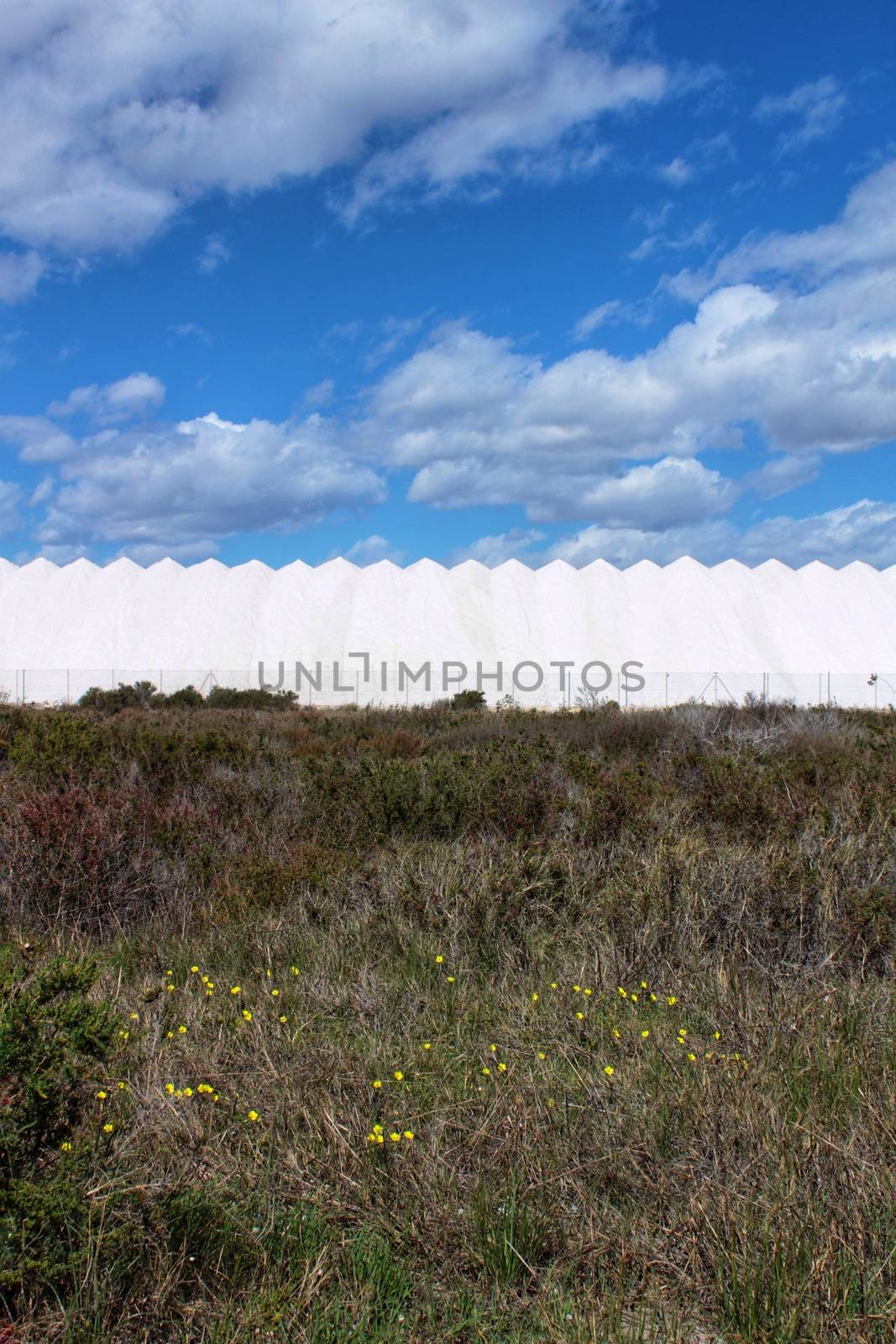 Salinas and vegetation under blue sky in Santa Pola, Alicante, Spain