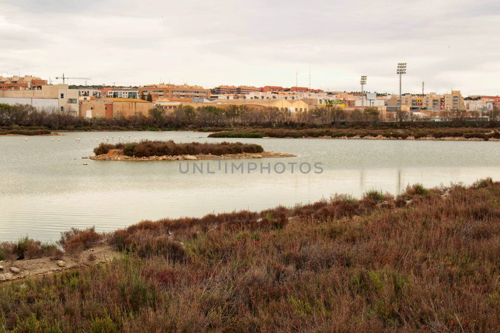 Wetlands of Santa Pola in a cloudy day of winter. Santa Pola in the background