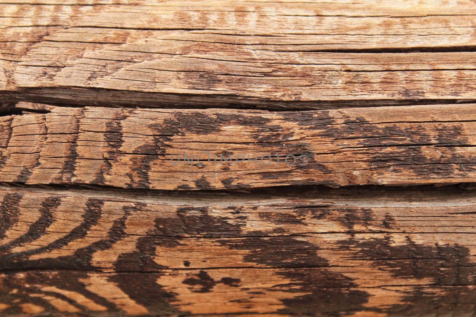Brown wooden and veined texture