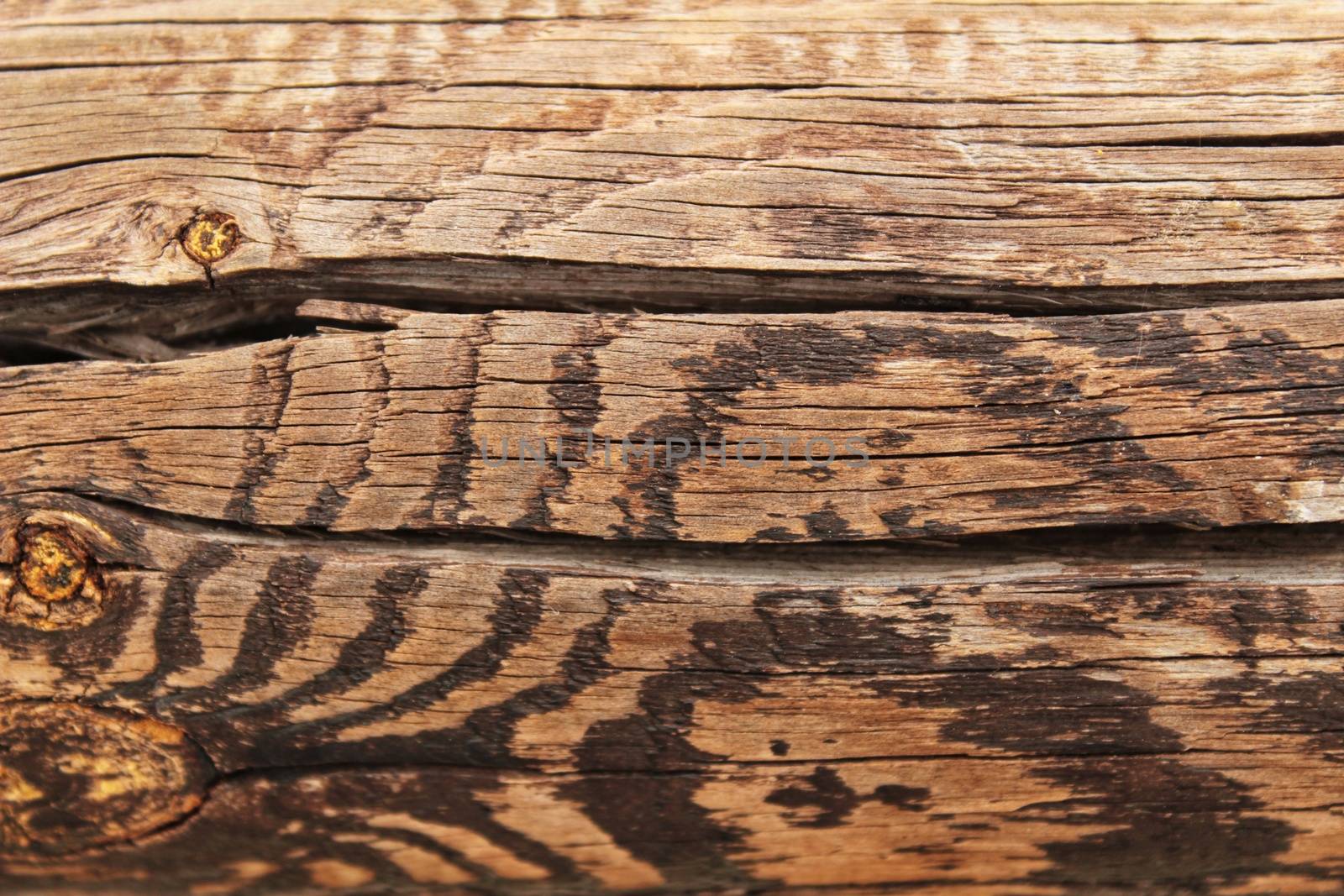 Brown wooden and veined texture