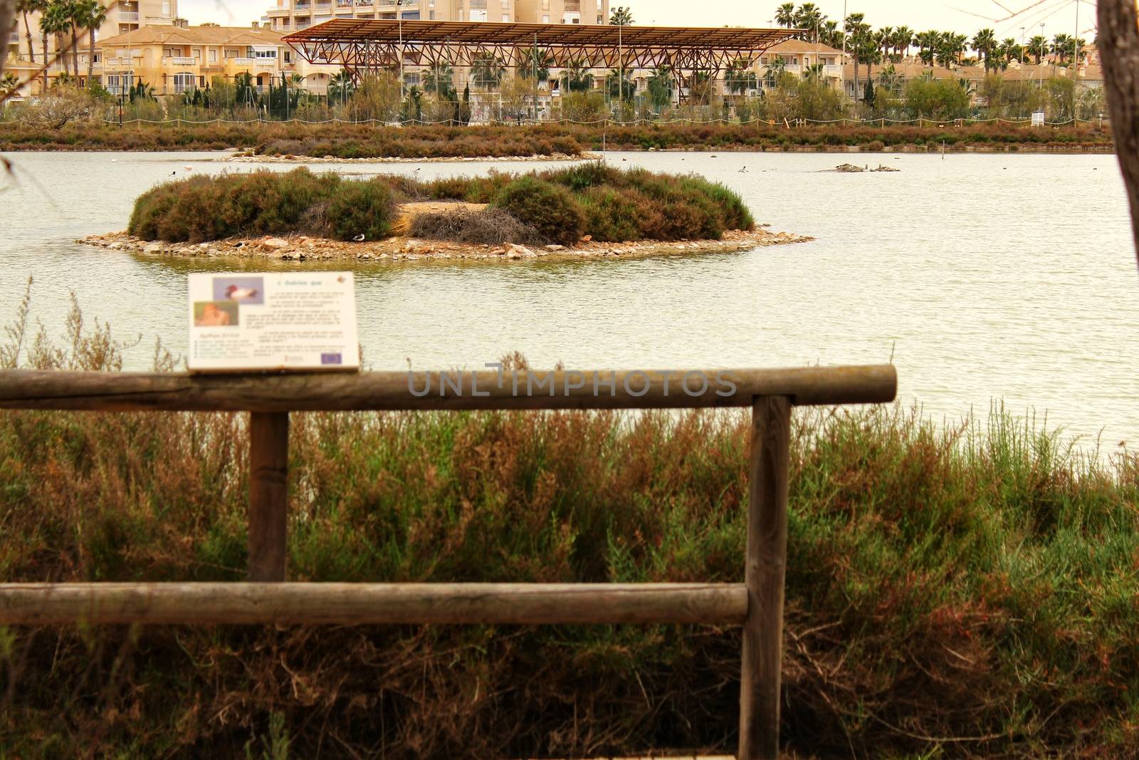 Wetlands of Santa Pola in a cloudy day of winter. Santa Pola in the background