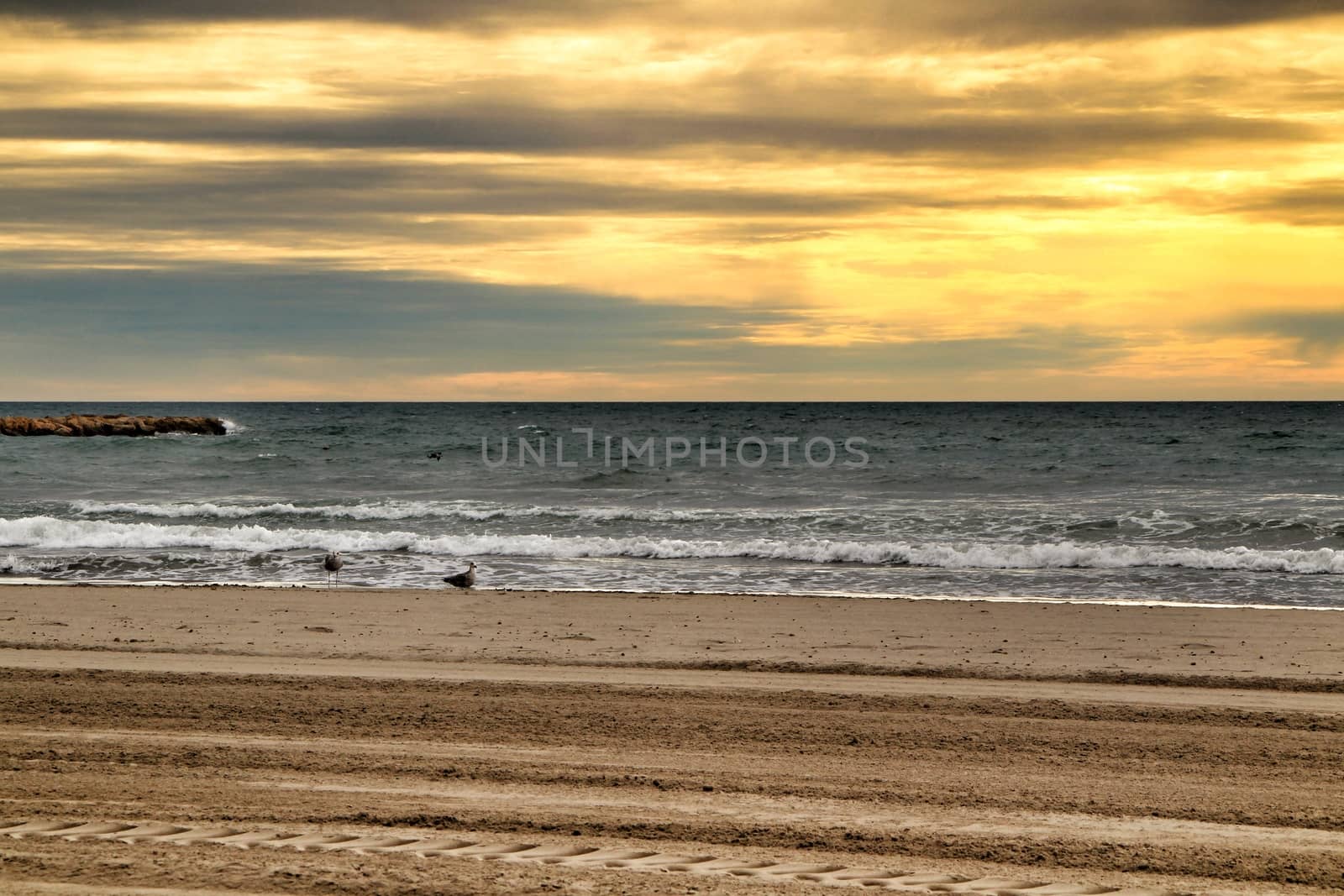 Beach under golden stormy sky by soniabonet