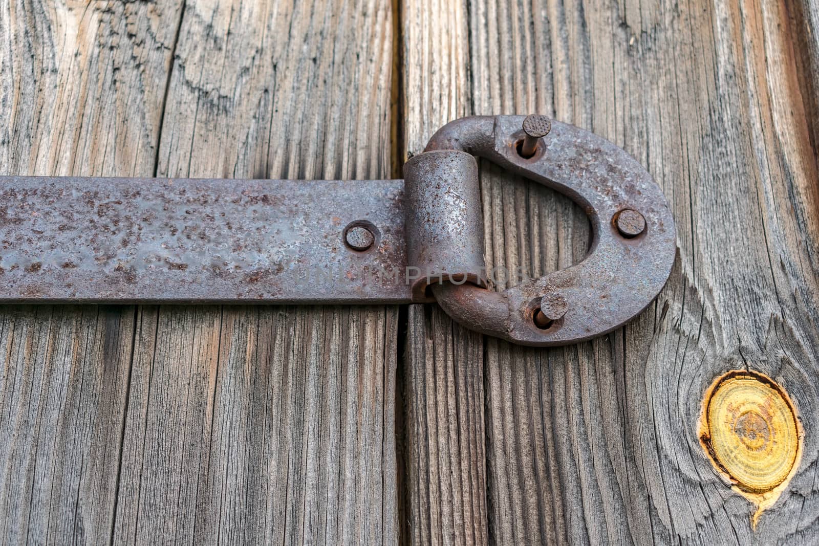 Metal door hinge with torn nails, on an old wooden gate