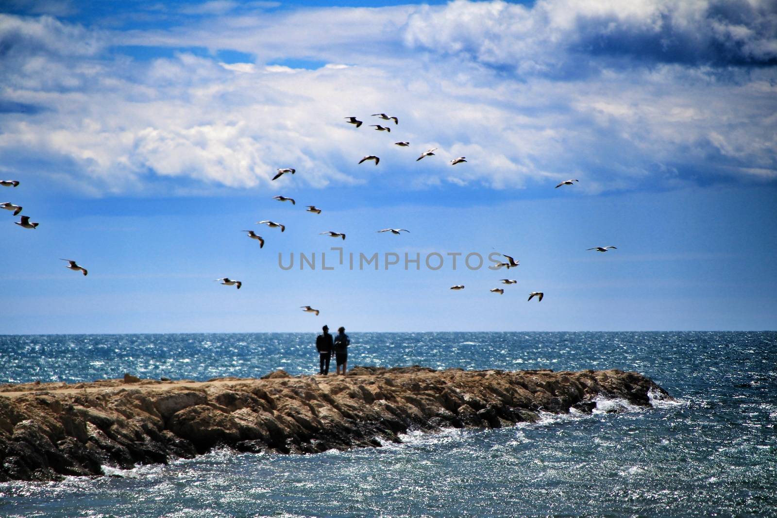 Walking day surrounded by seagulls on a breakwater under the sun in Santa Pola, Spain