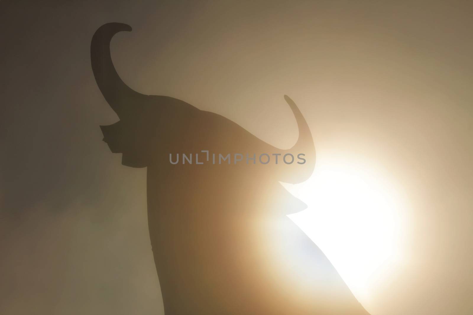 Santa Pola, Alicante, Spain- February 20, 2020: Silhouette of the mythical and typical spanish Osborne bull in the salt pans of Santa Pola, Alicante on a foggy day