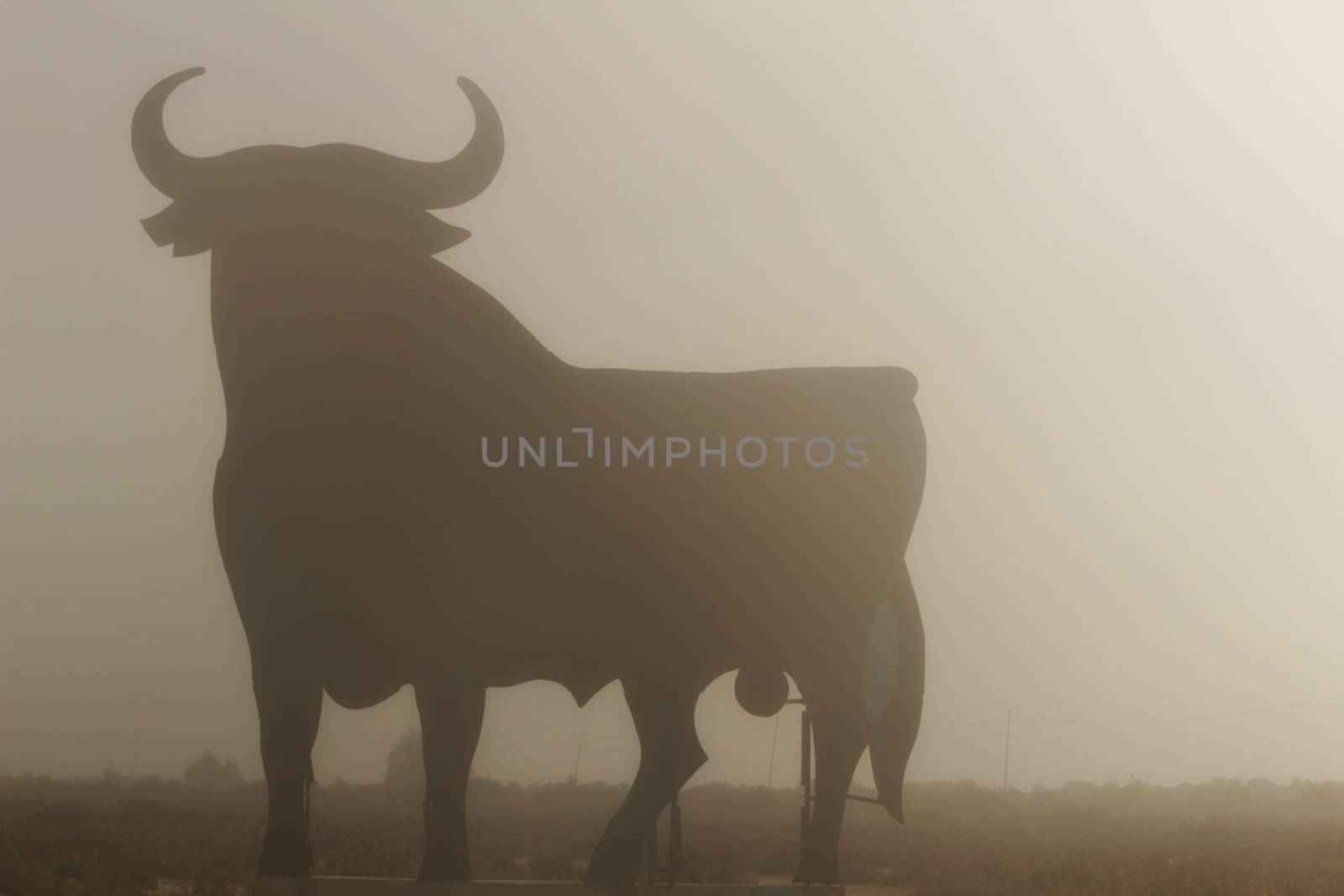 Santa Pola, Alicante, Spain- February 20, 2020: Silhouette of the mythical and typical spanish Osborne bull in the salt pans of Santa Pola, Alicante on a foggy day