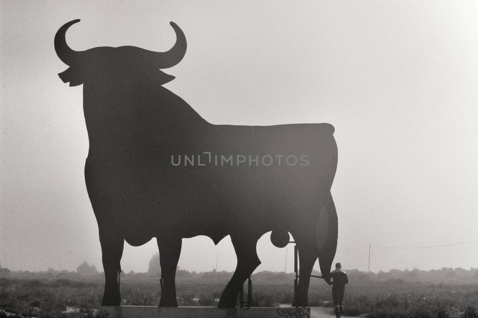 Santa Pola, Alicante, Spain- February 20, 2020: Silhouette of the mythical and typical spanish Osborne bull in the salt pans of Santa Pola, Alicante on a foggy day