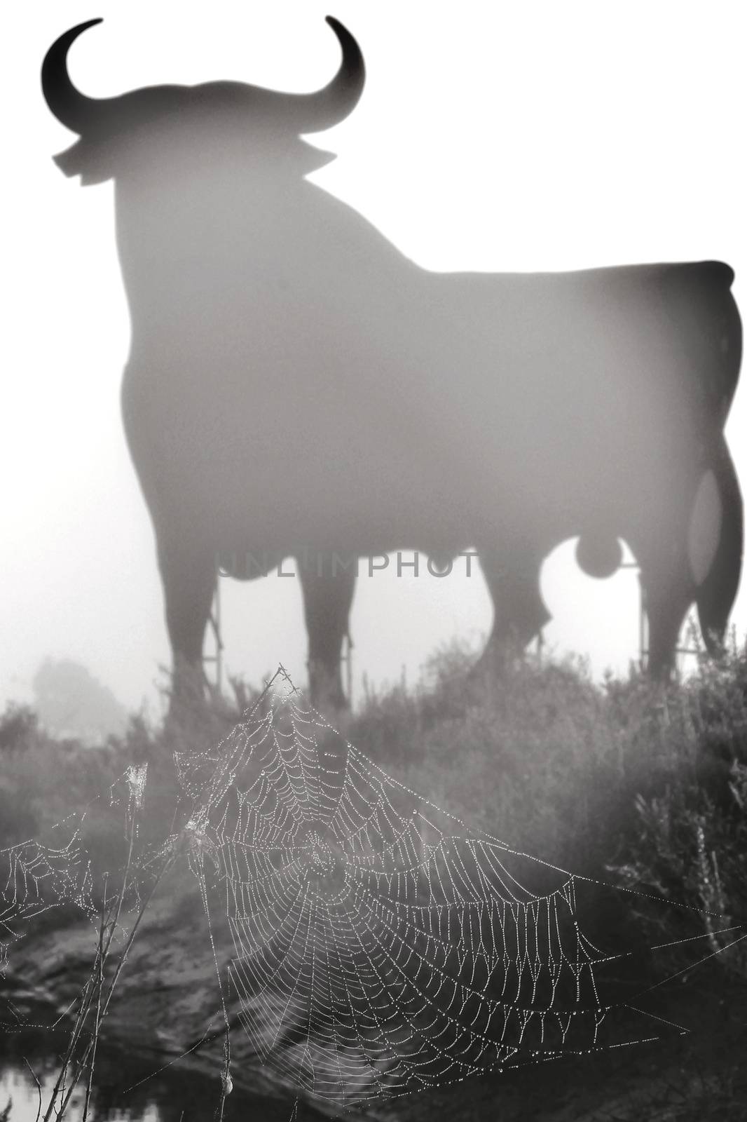 Santa Pola, Alicante, Spain- February 20, 2020: Silhouette of the mythical and typical spanish Osborne bull in the salt pans of Santa Pola, Alicante on a foggy day
