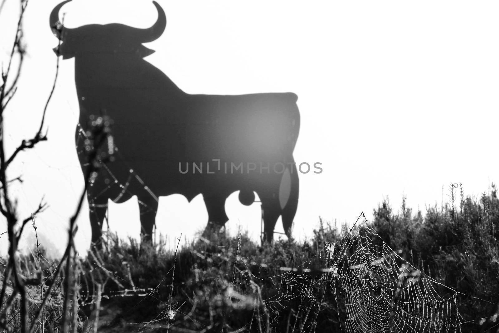 Santa Pola, Alicante, Spain- February 20, 2020: Spiderweb and Silhouette of the typical spanish Osborne bull in the salt pans of Santa Pola, Alicante on a foggy day. 