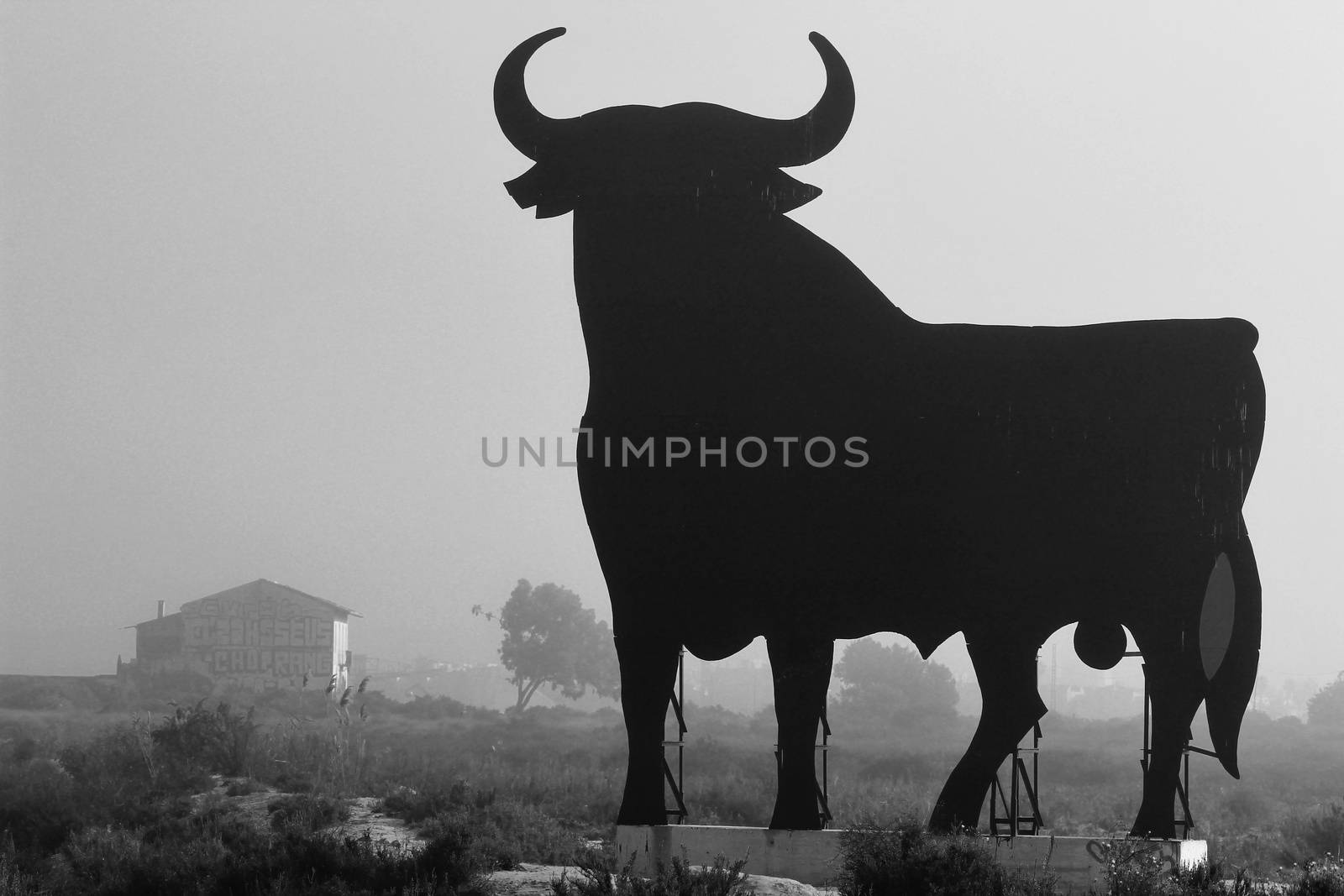 Santa Pola, Alicante, Spain- February 20, 2020: Silhouette of the mythical and typical spanish Osborne bull in the salt pans of Santa Pola, Alicante on a foggy day