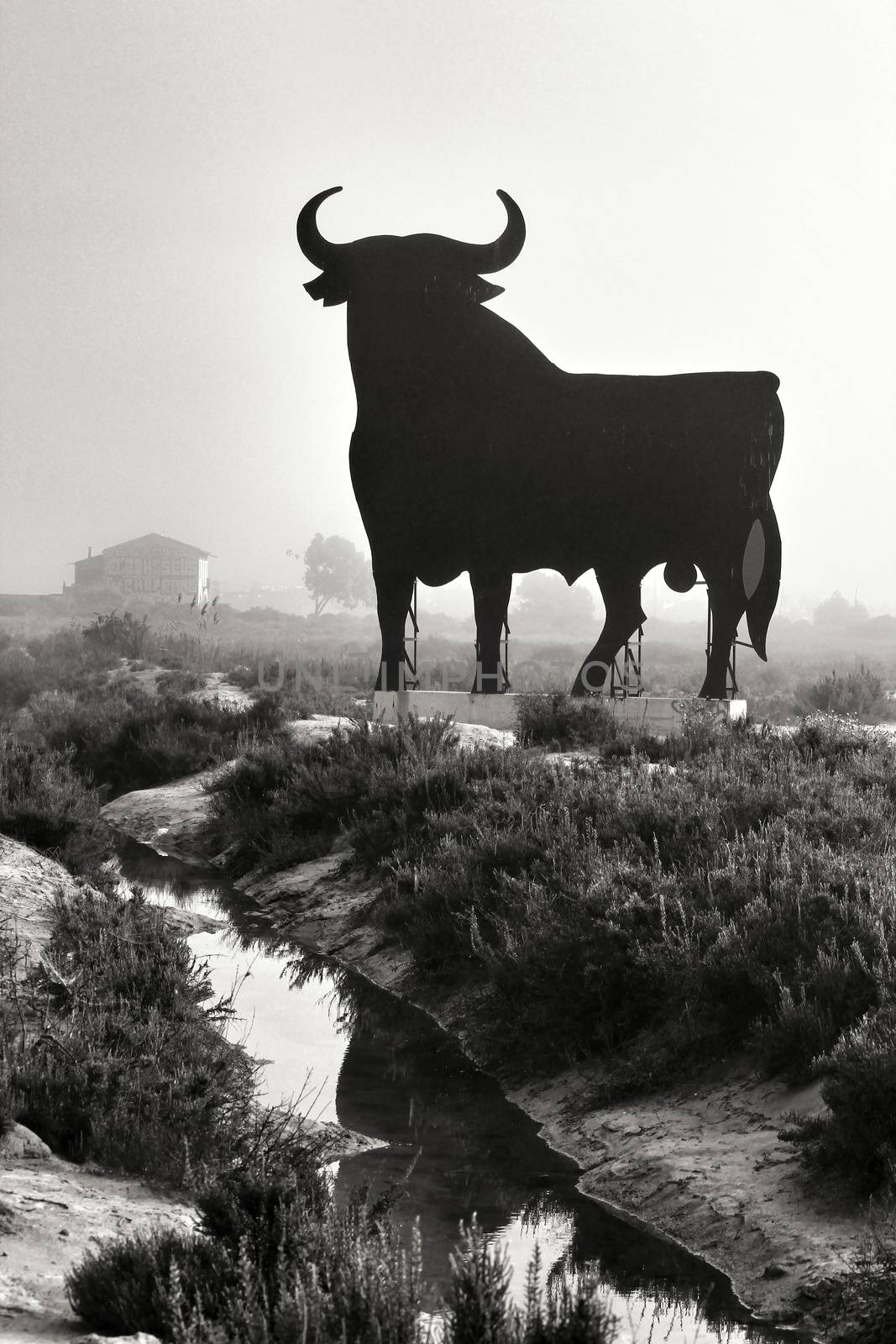 Santa Pola, Alicante, Spain- February 20, 2020: Silhouette of the mythical and typical spanish Osborne bull in the salt pans of Santa Pola, Alicante on a foggy day