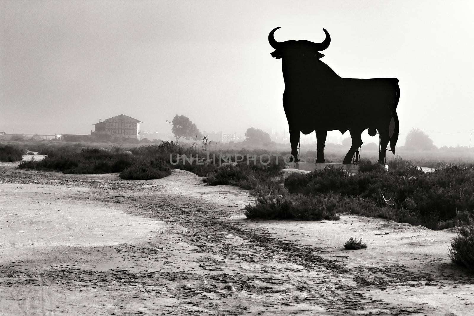 Santa Pola, Alicante, Spain- February 20, 2020: Silhouette of the mythical and typical spanish Osborne bull in the salt pans of Santa Pola, Alicante on a foggy day