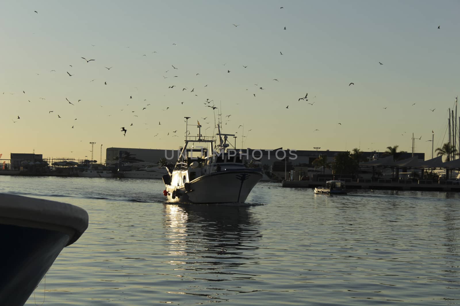 Fishing boat entering port in southern Spain