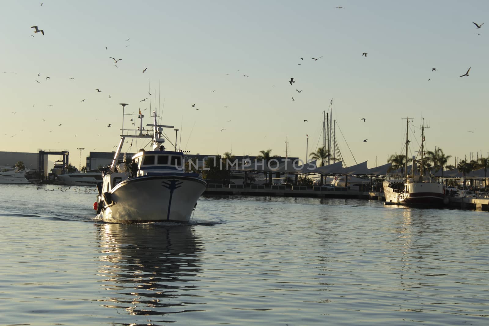 Fishing boat entering port in southern Spain