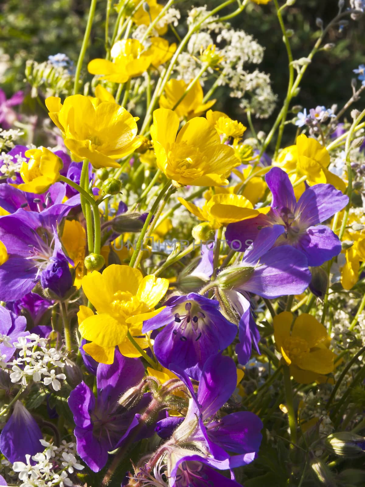 posy of flowers