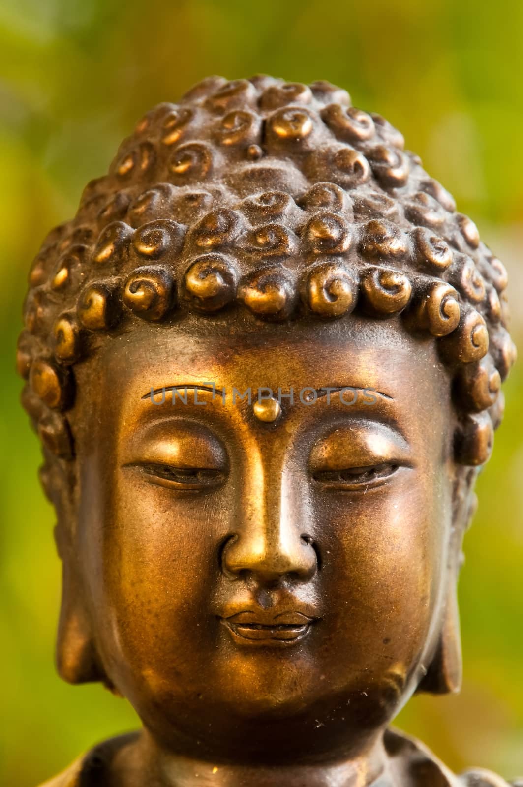 Buddha by Jochen