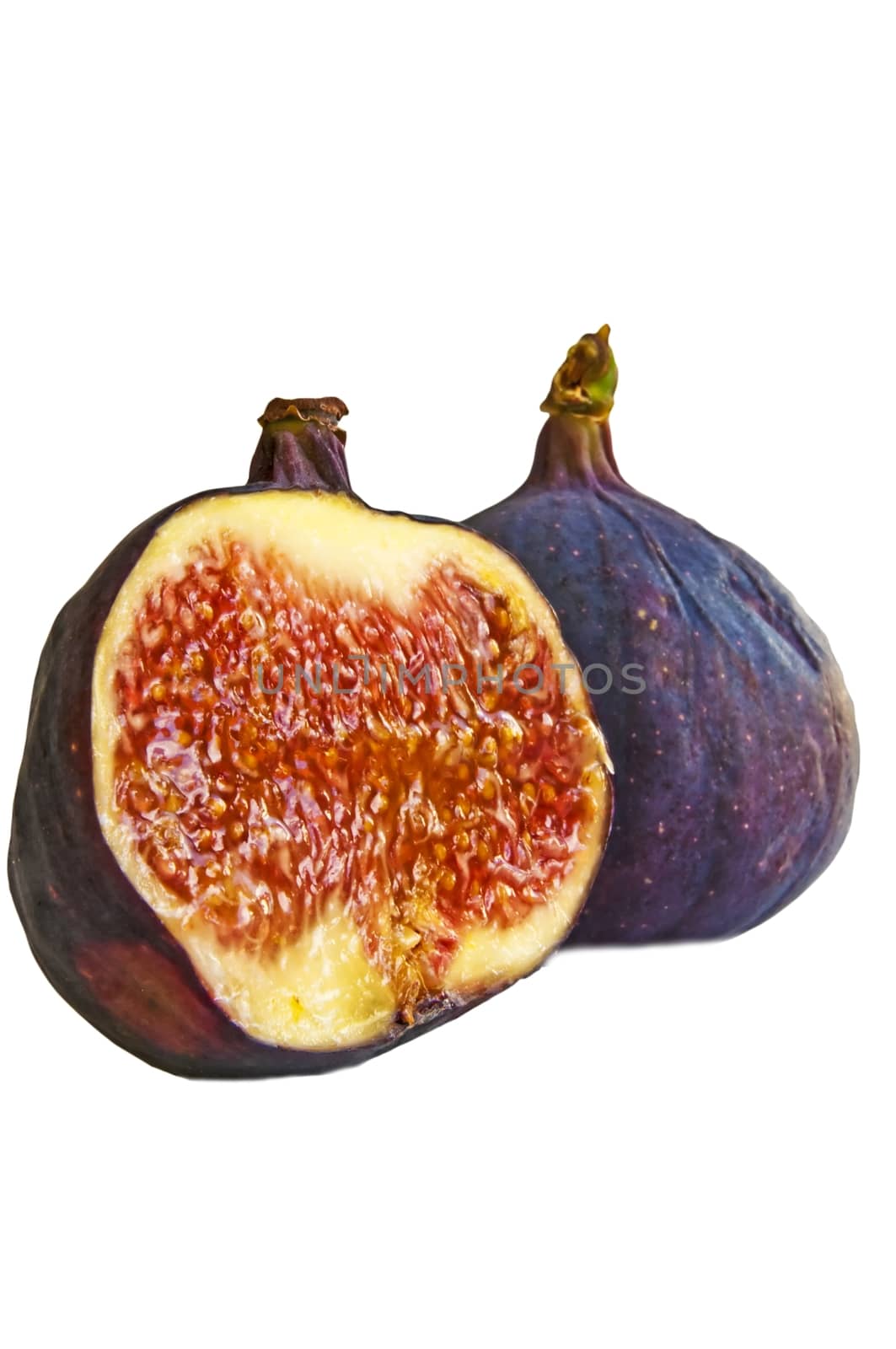 fig by Jochen