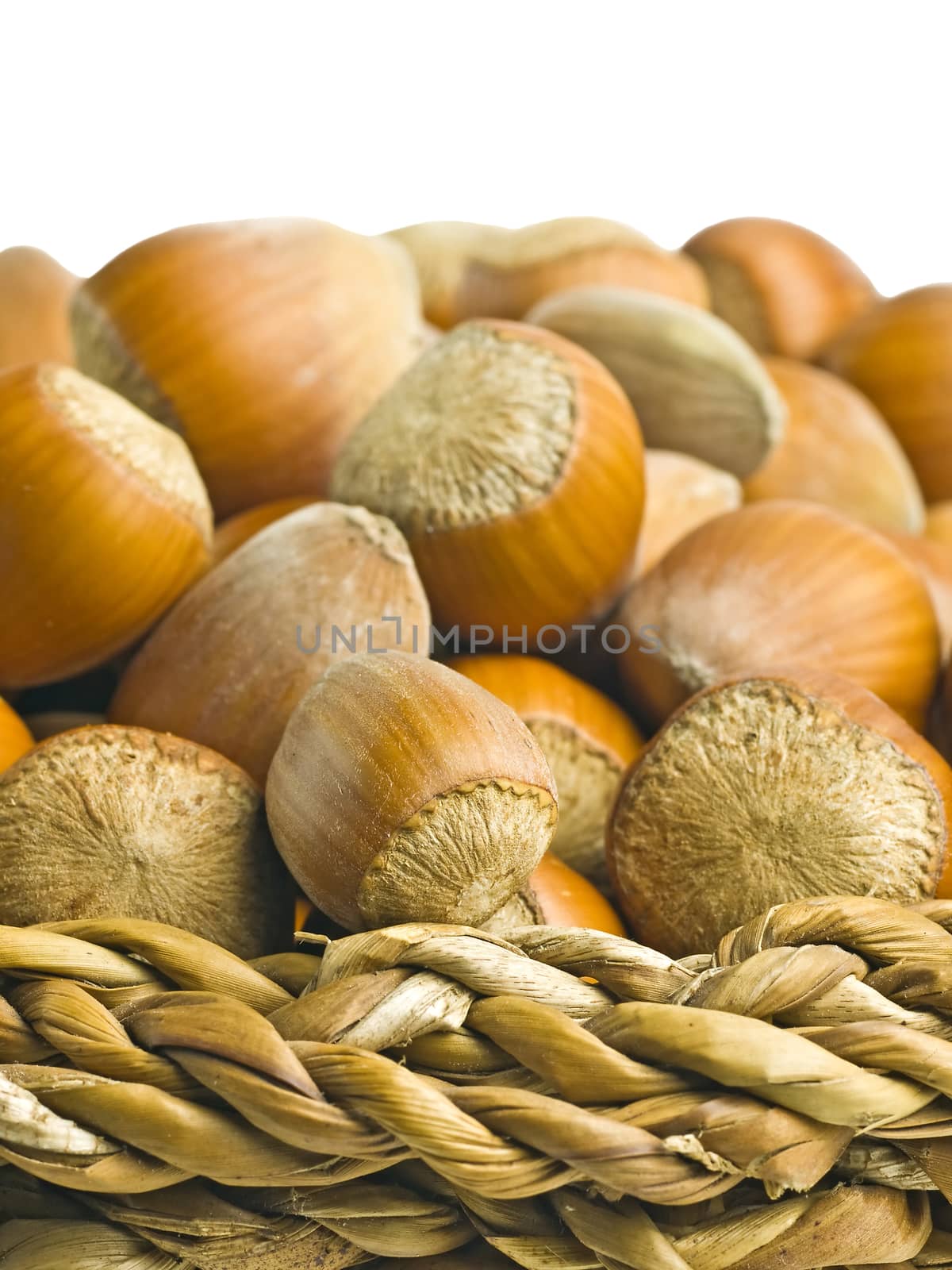 hazel nuts by Jochen