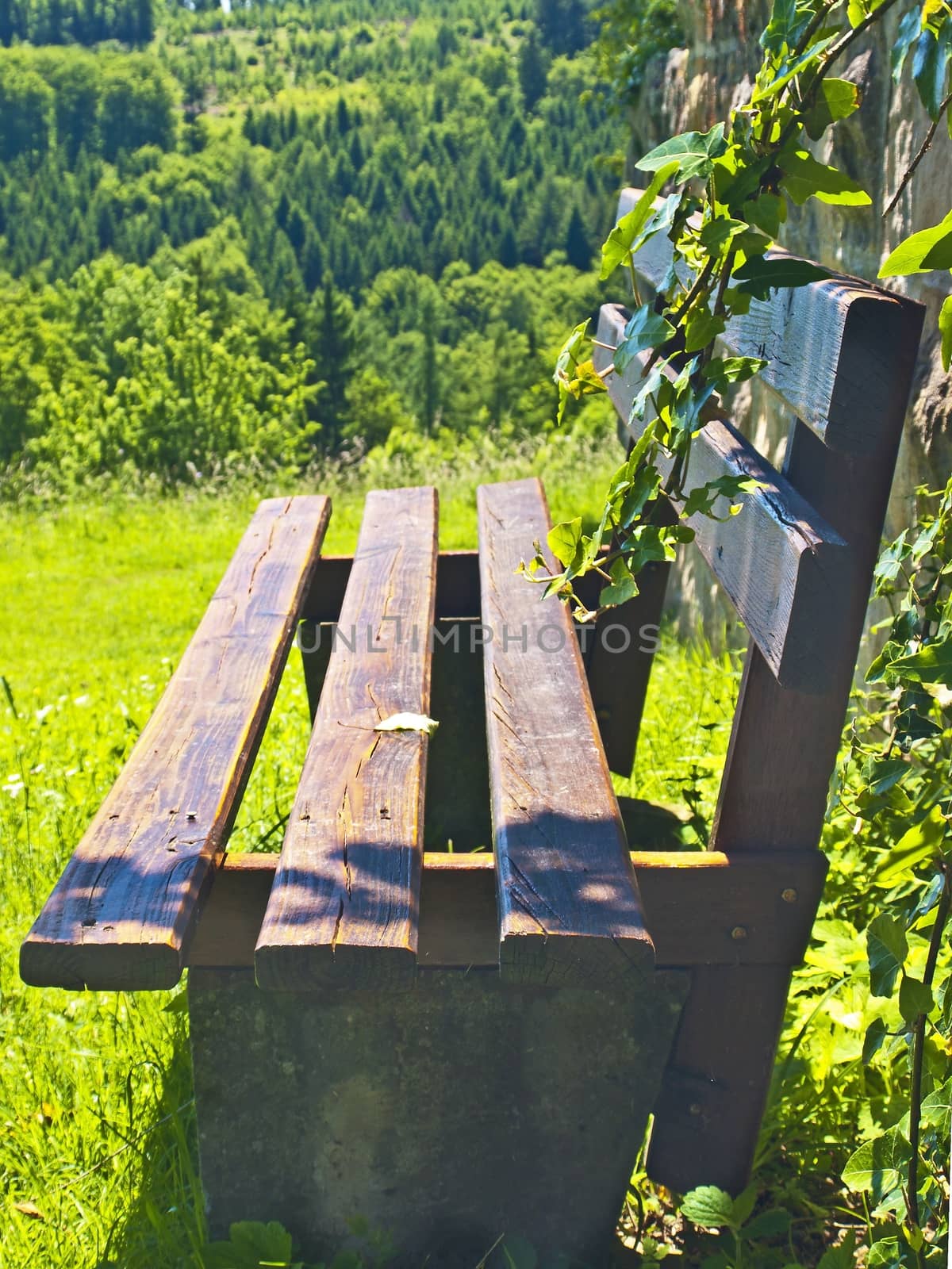 park bench idyll